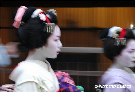 14_02--2005_05_japon_1_kyoto_007 copia